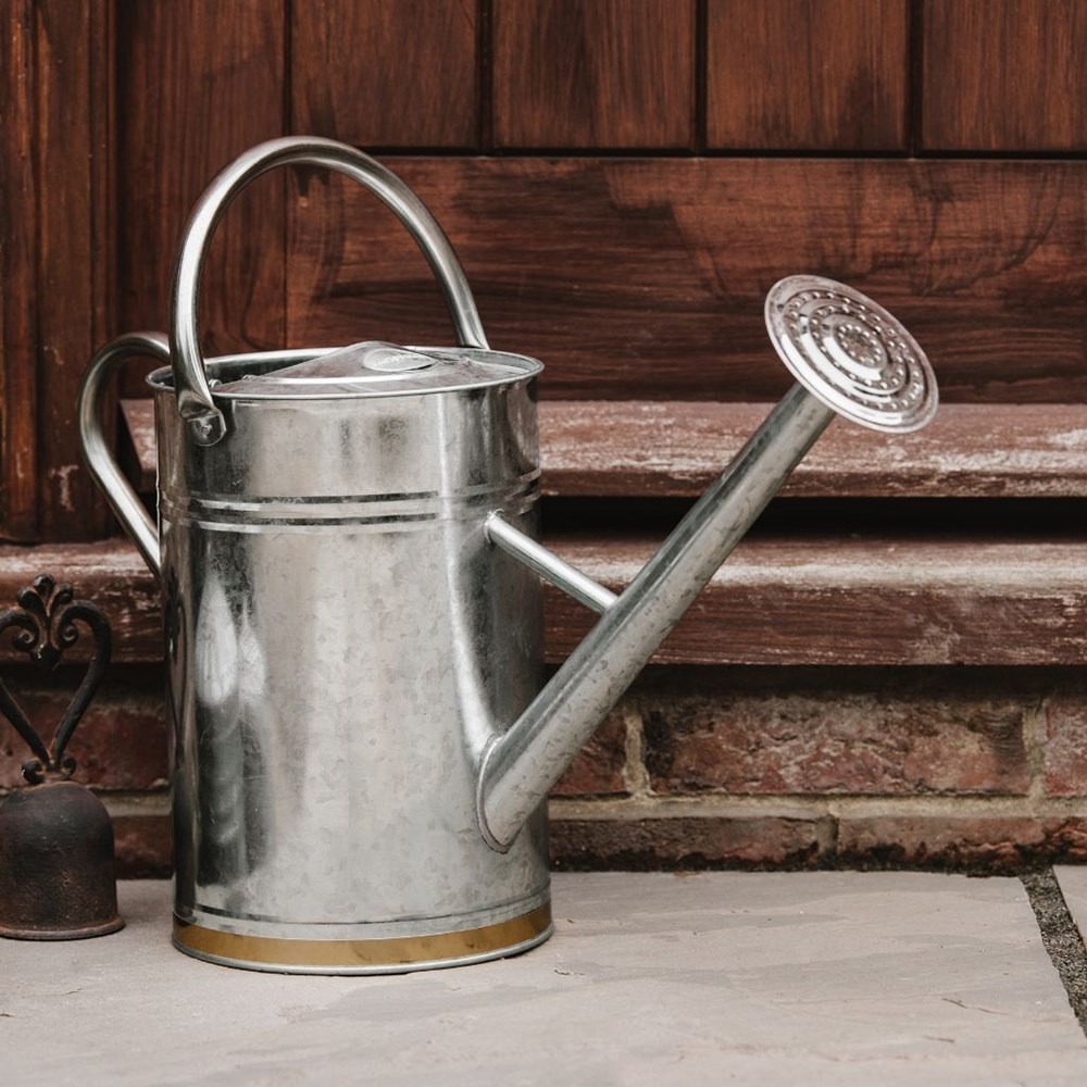 Metal watering can - gold trim