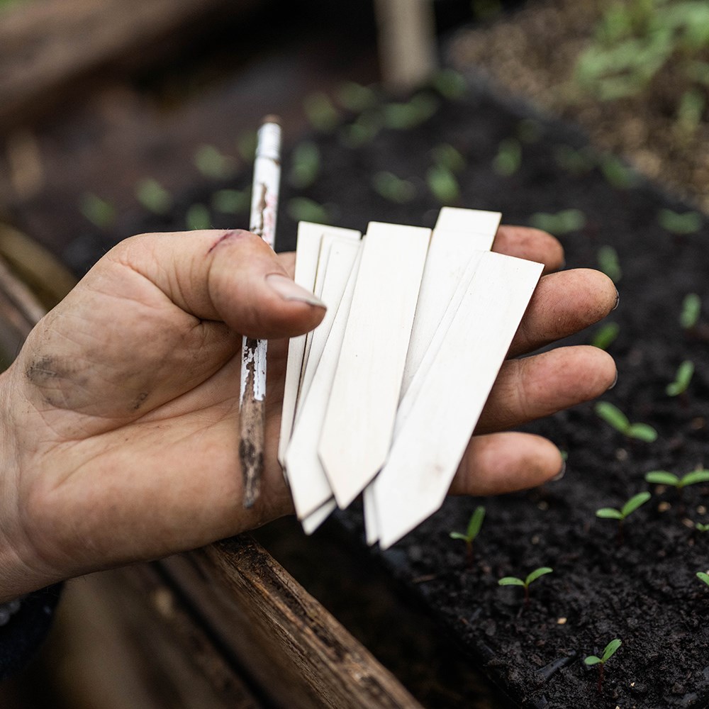Wooden plant labels - bundle of 25