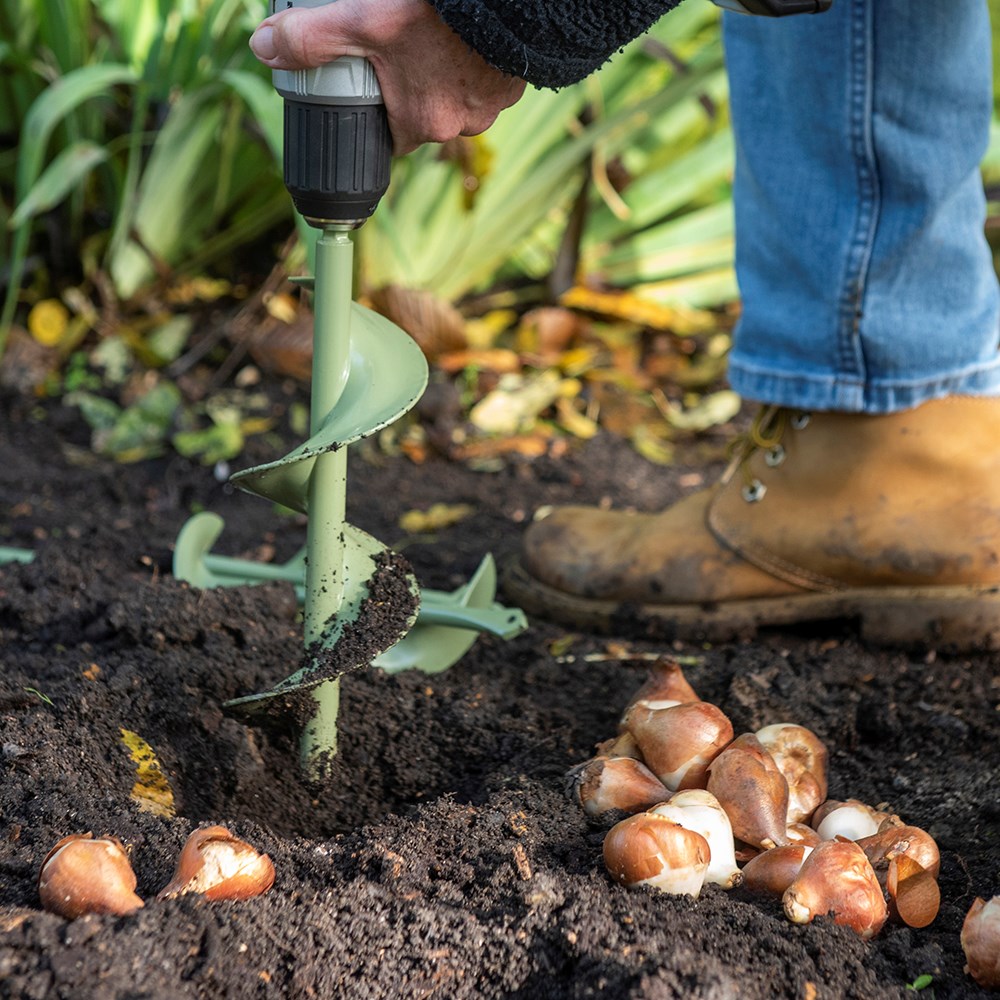 Bulb planting auger - short