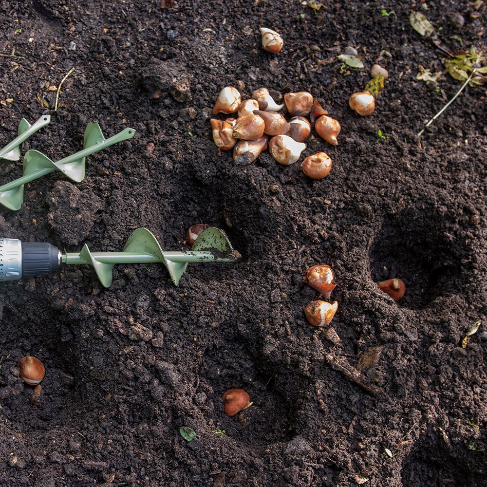 Bulb planting auger - short