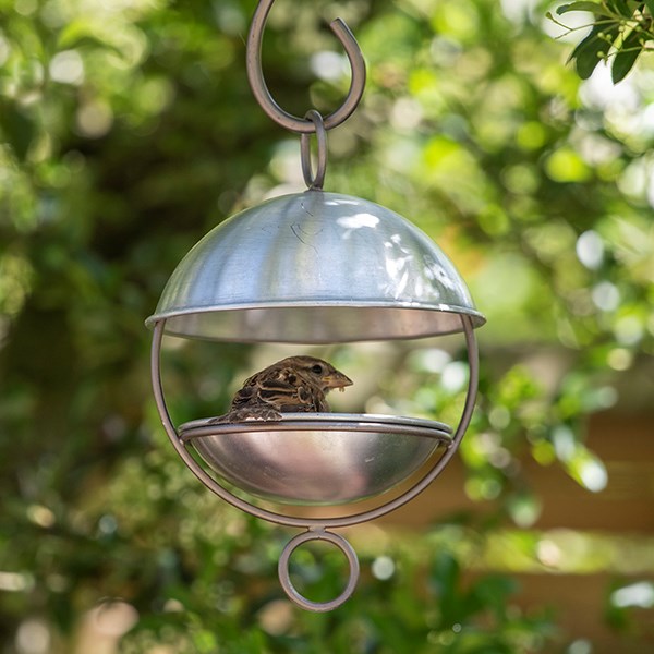 Satellite bird seed feeder - brushed aluminium
