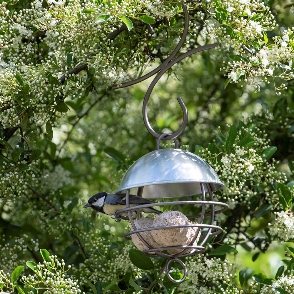 Satellite fat ball feeder - brushed aluminium