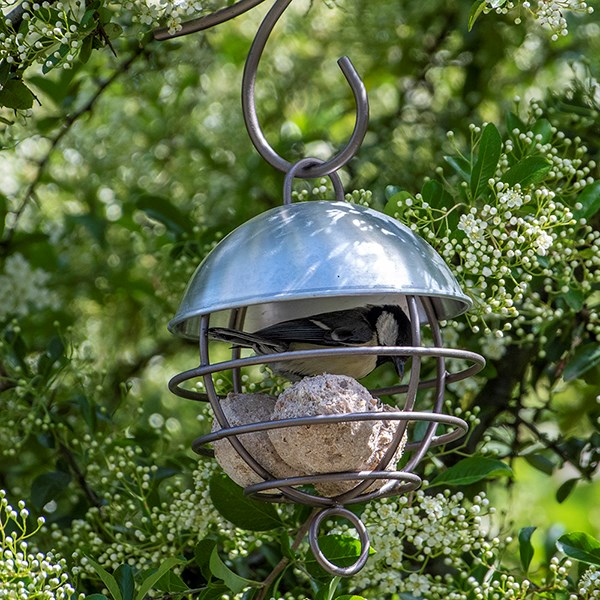Satellite fat ball feeder - brushed aluminium