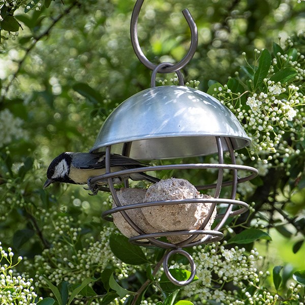 Satellite fat ball feeder - brushed aluminium