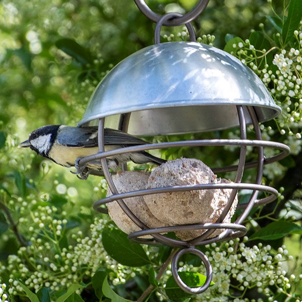 Satellite fat ball feeder - brushed aluminium