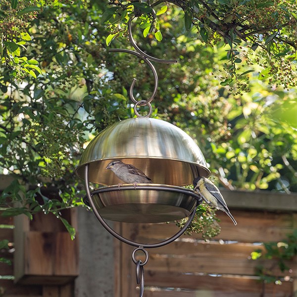 Hanging bird feeding dome - brushed brass