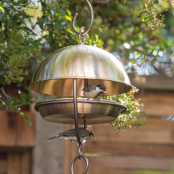 Hanging bird feeding dome - brushed brass