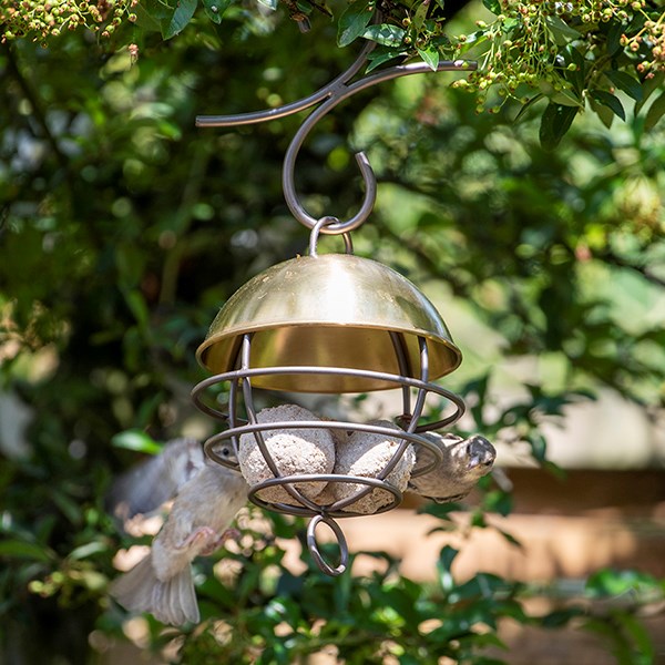Satellite fat ball feeder - brushed brass