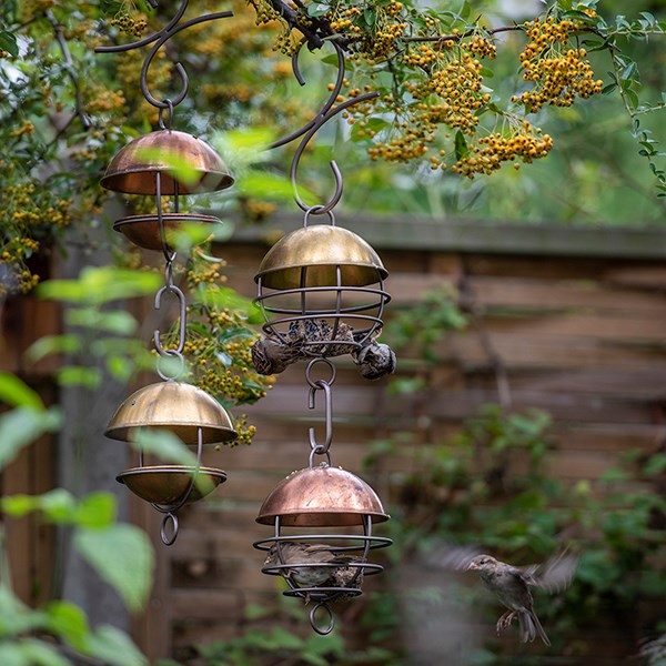 Satellite fat ball feeder - brushed brass