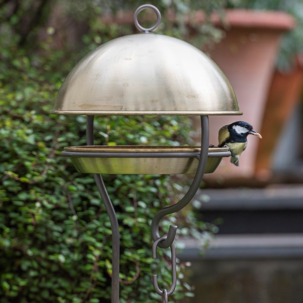Stake bird feeding dome - brushed brass