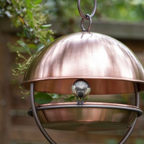 Hanging bird feeding dome - brushed copper