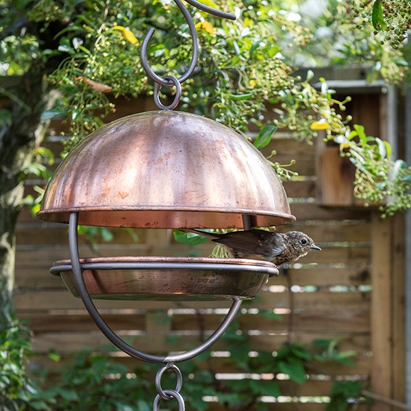 Hanging bird feeding dome - brushed copper