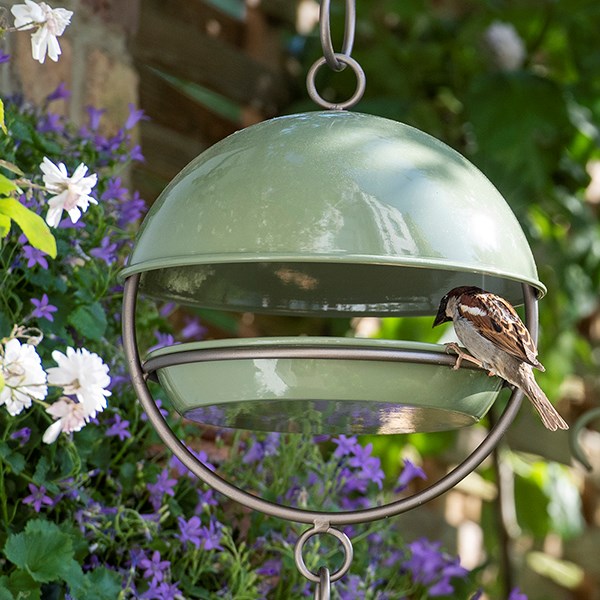 Hanging bird feeding dome - Crocus green