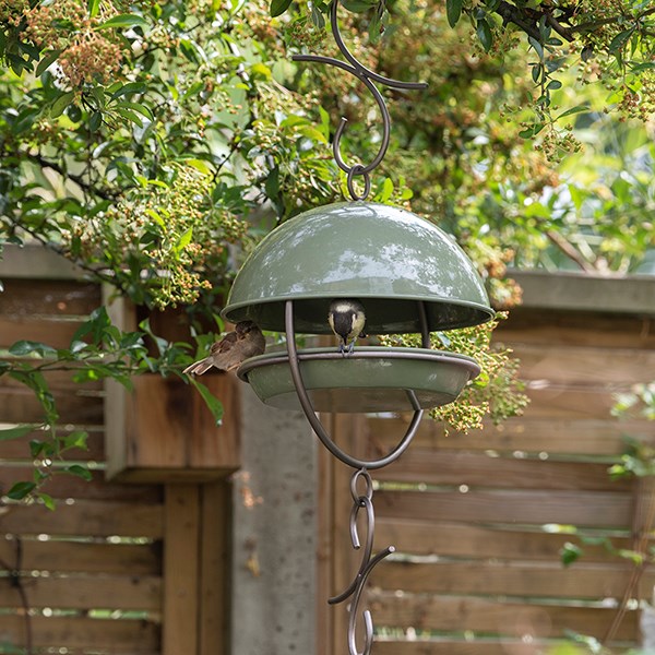 Hanging bird feeding dome - Crocus green