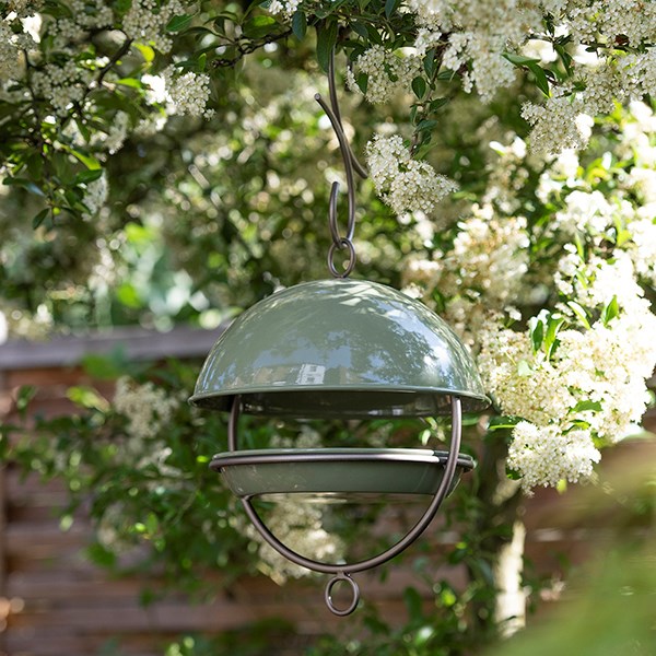 Hanging bird feeding dome - Crocus green