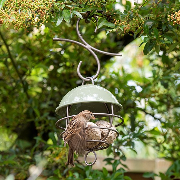 Satellite fat ball feeder - Crocus green
