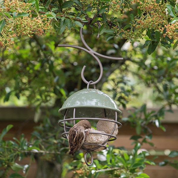 Satellite fat ball feeder - Crocus green
