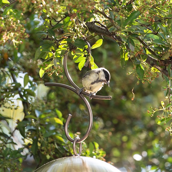 Perch hanging bird hook 