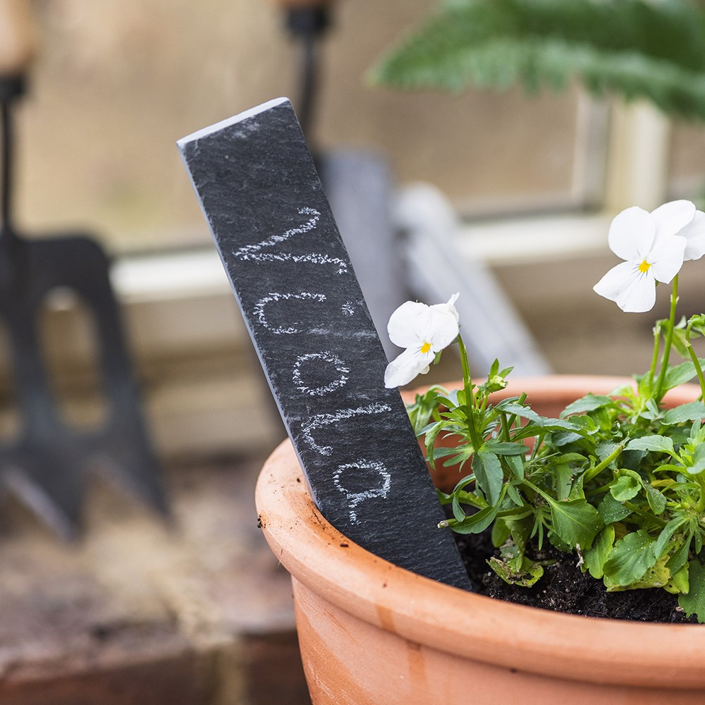 Slate plant labels - pack of 5