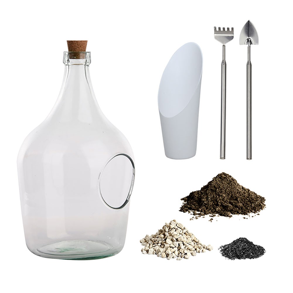 DIY terrarium bottle 3 litre