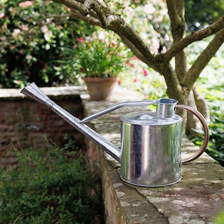 Long reach watering can