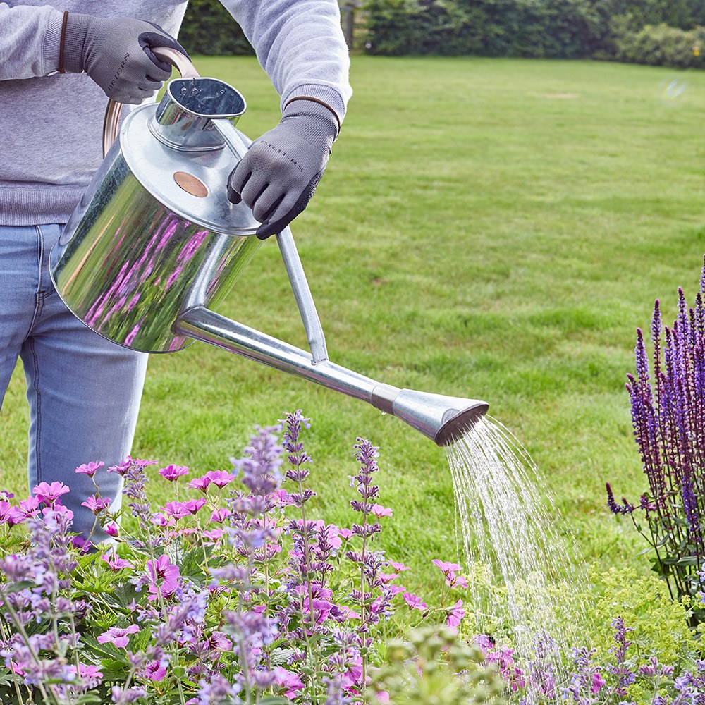 Long reach watering can