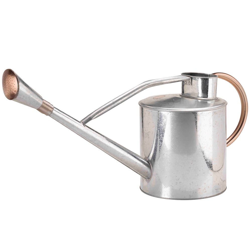 Long reach watering can