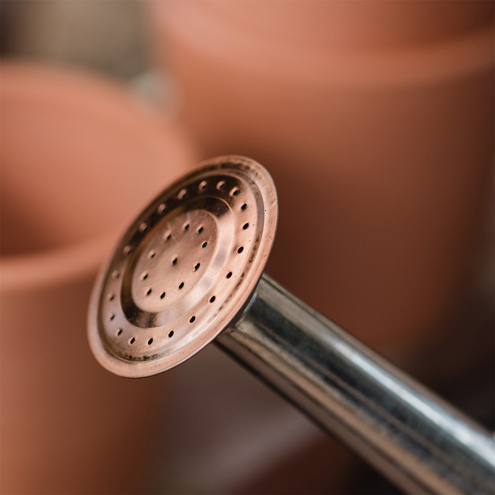Galvanised watering can - copper trim