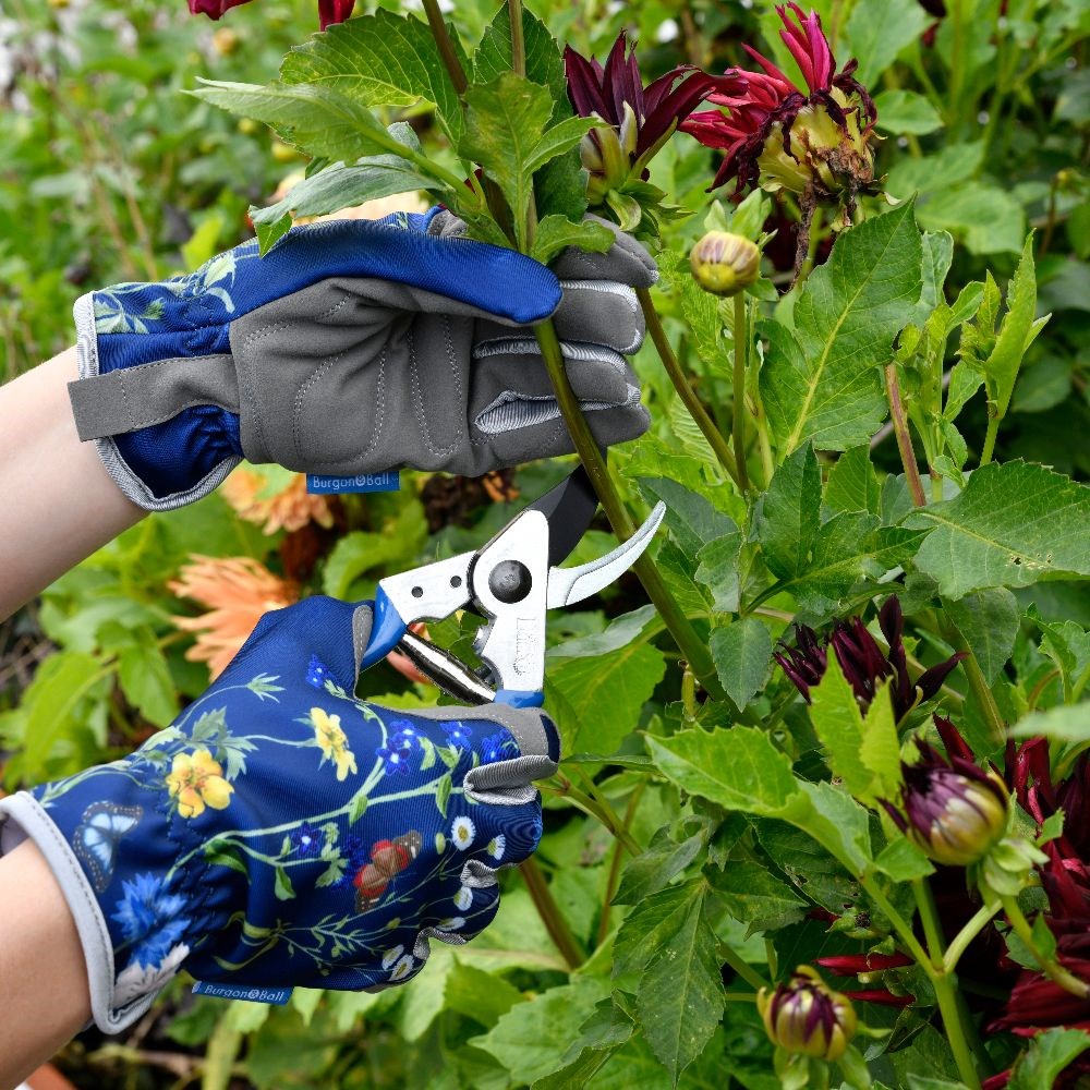 RHS Burgon and Ball British Meadow pruner and holster