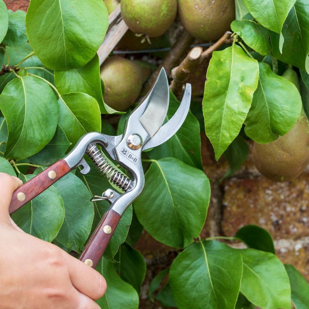 Burgon and Ball National Trust secateurs