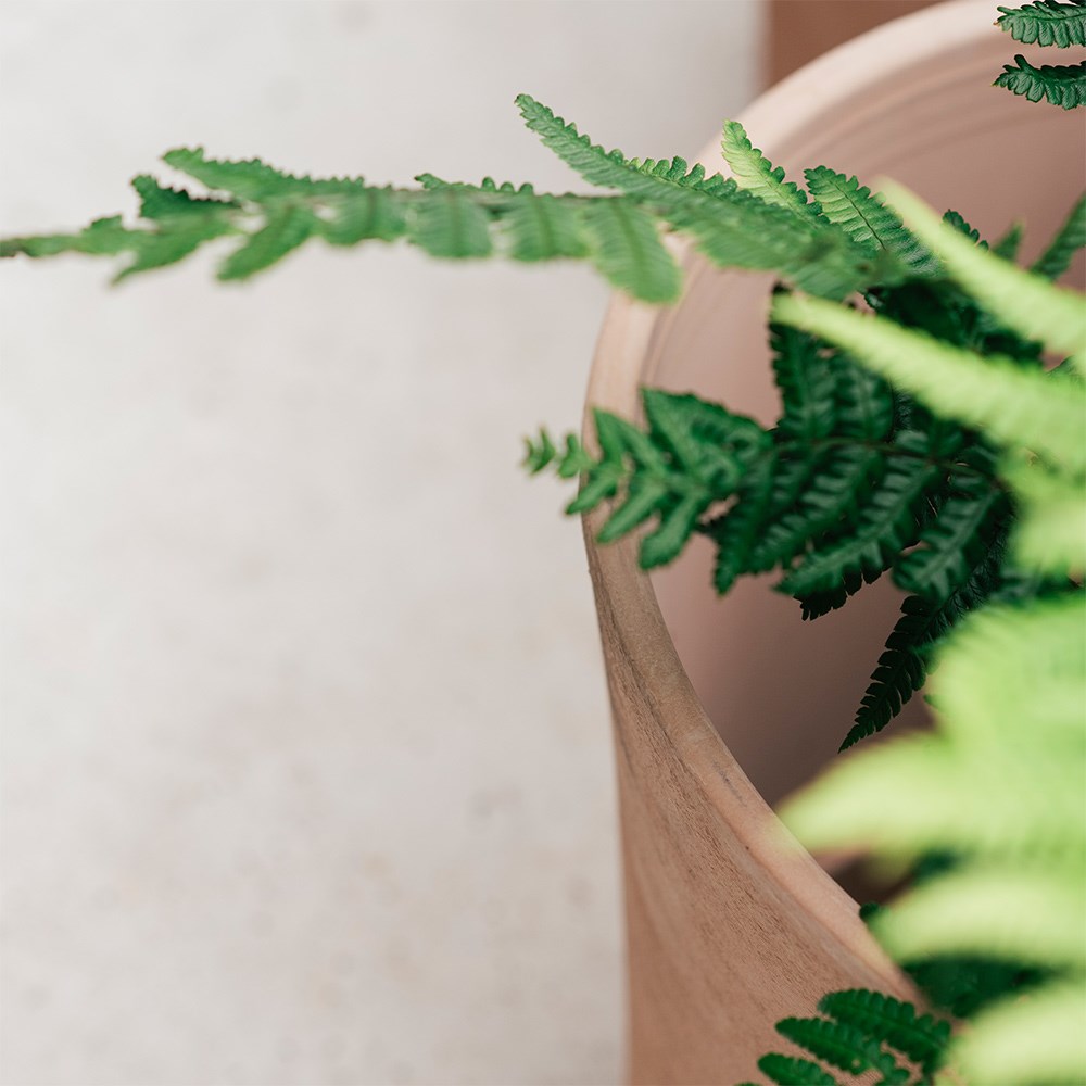 Conical Italian terracotta pot - whitewash
