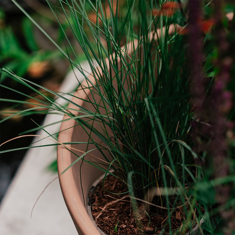 Conical Italian terracotta pot - whitewash