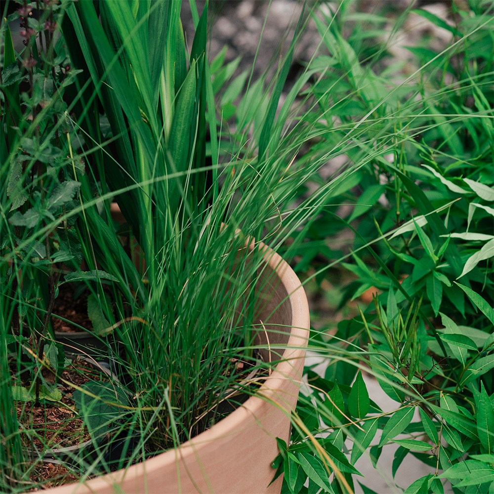Conical Italian terracotta pot - whitewash