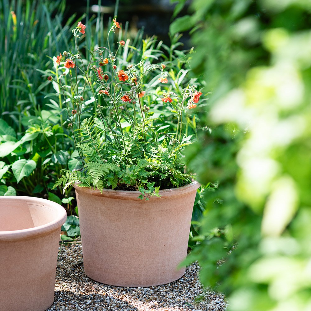 Italian terracotta cylinder pot 