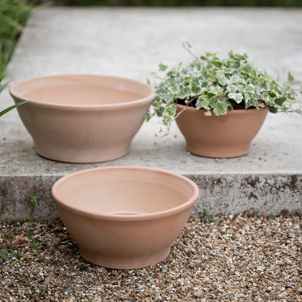 Italian terracotta bowl planter - whitewash