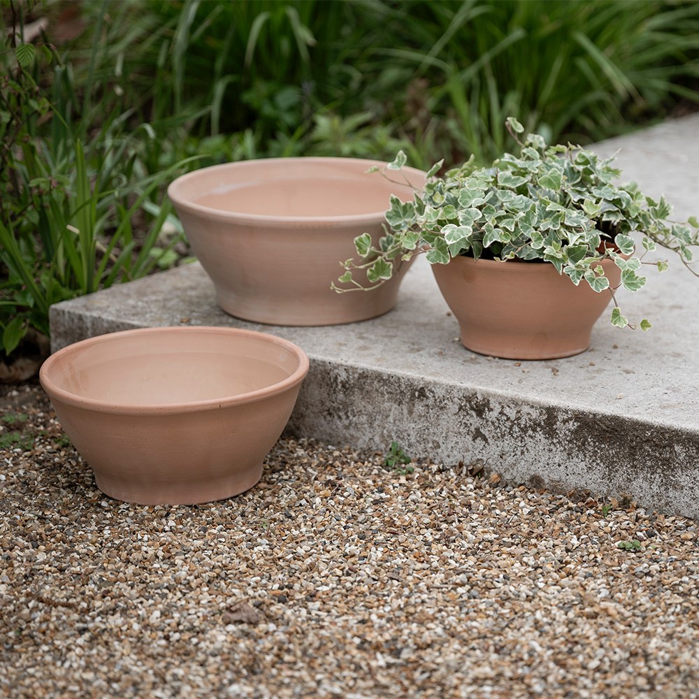 Italian terracotta bowl planter - whitewash