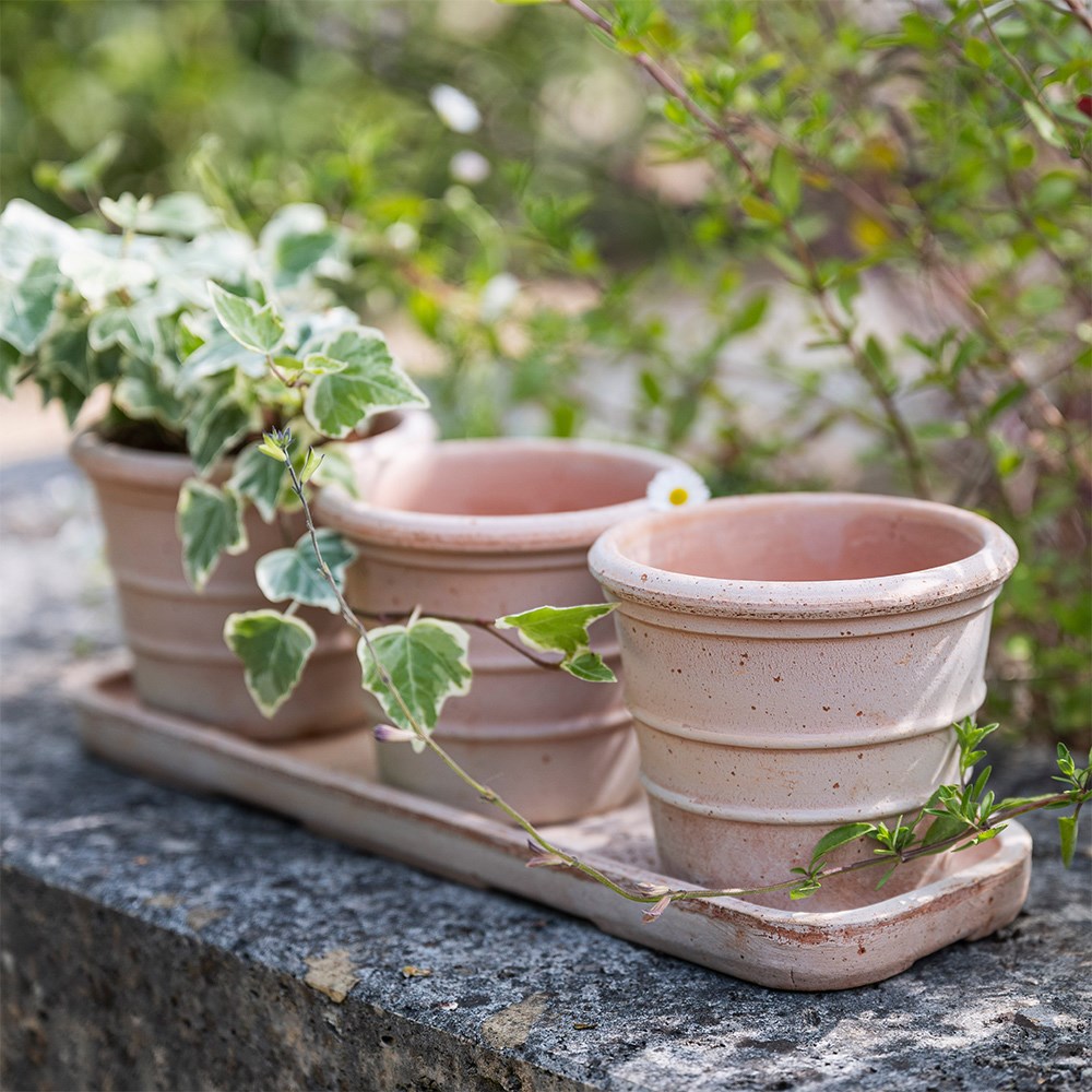 Italian terracotta pots whitewash - set of 3 with tray