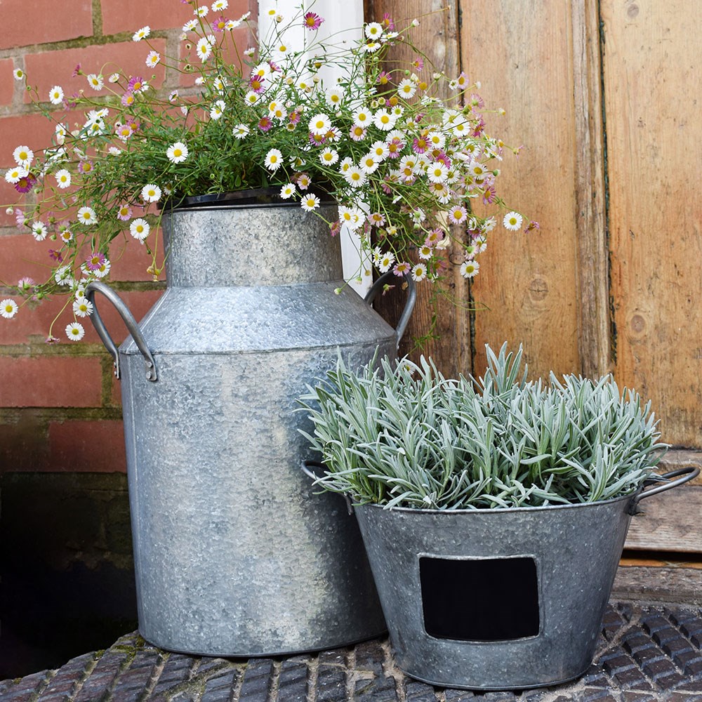Galvanised metal milk churn