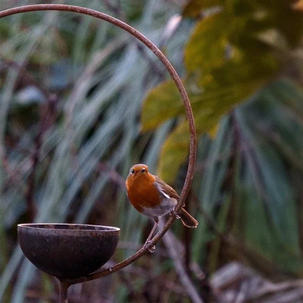 Freya bird crook with bowl and hook - rust