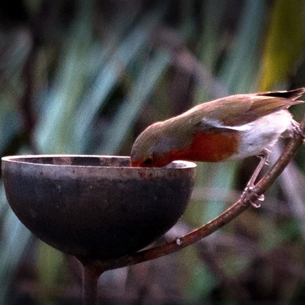Freya bird crook with bowl and hook - rust