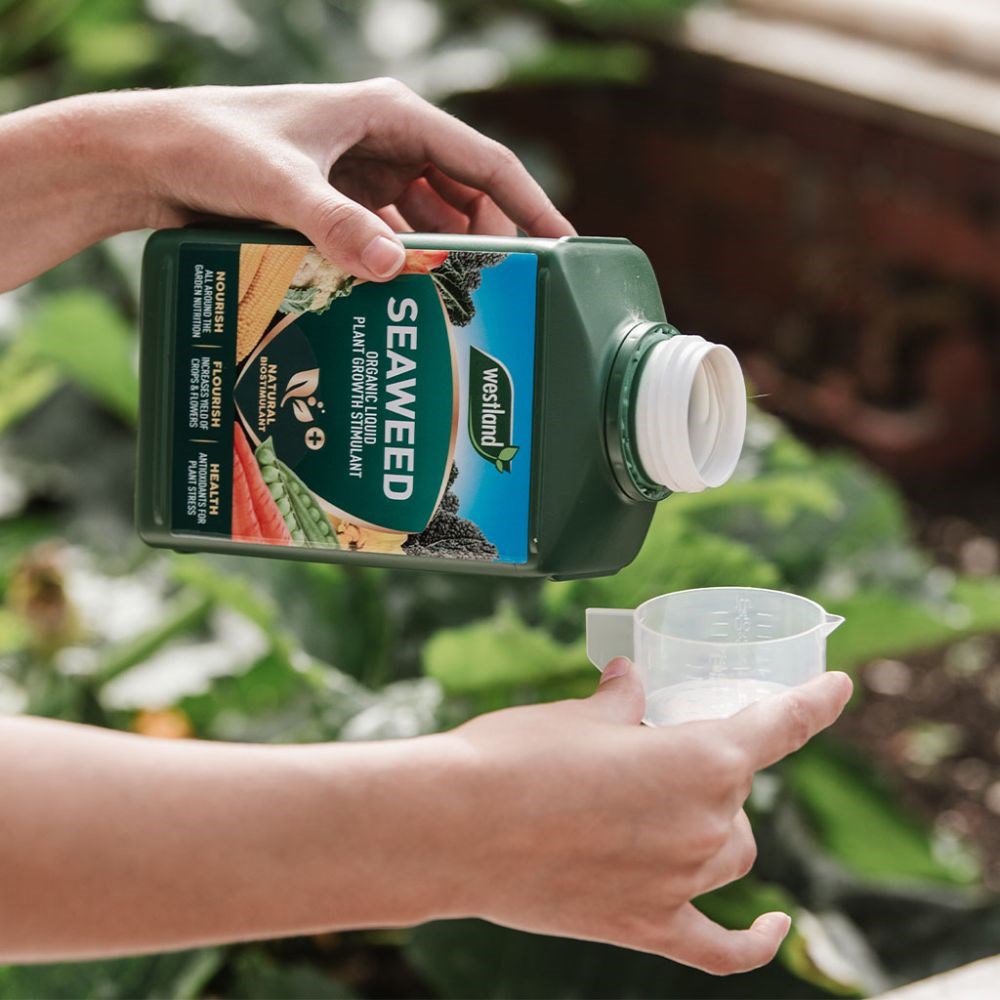 Westland seaweed liquid feed