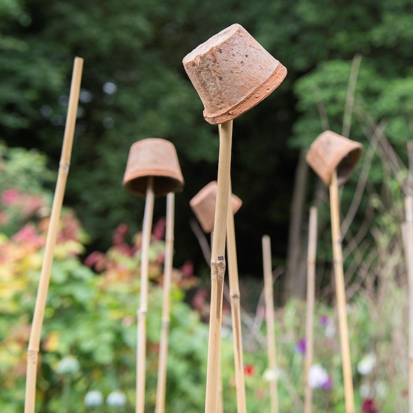 Bamboo canes bulk bundle - pack of 20