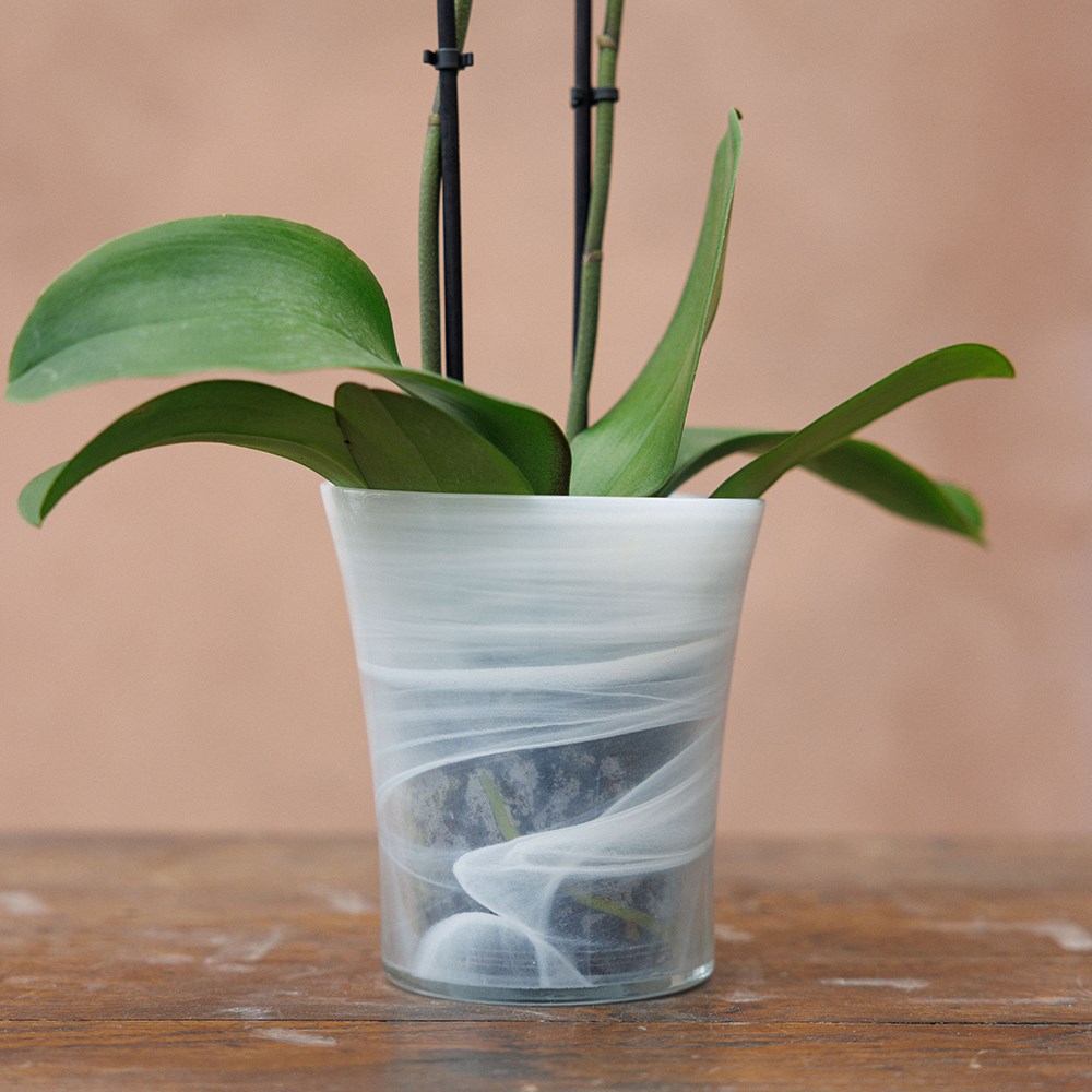 Recycled glass flared orchid pot - white