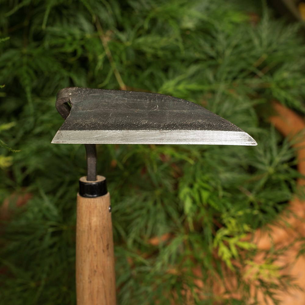 Niwaki weeding hoe