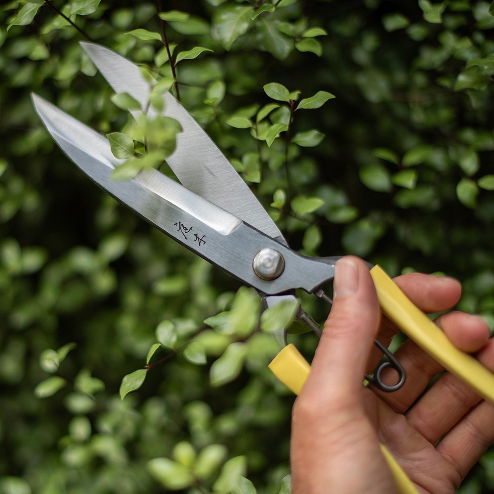 Niwaki GR pro topiary clippers