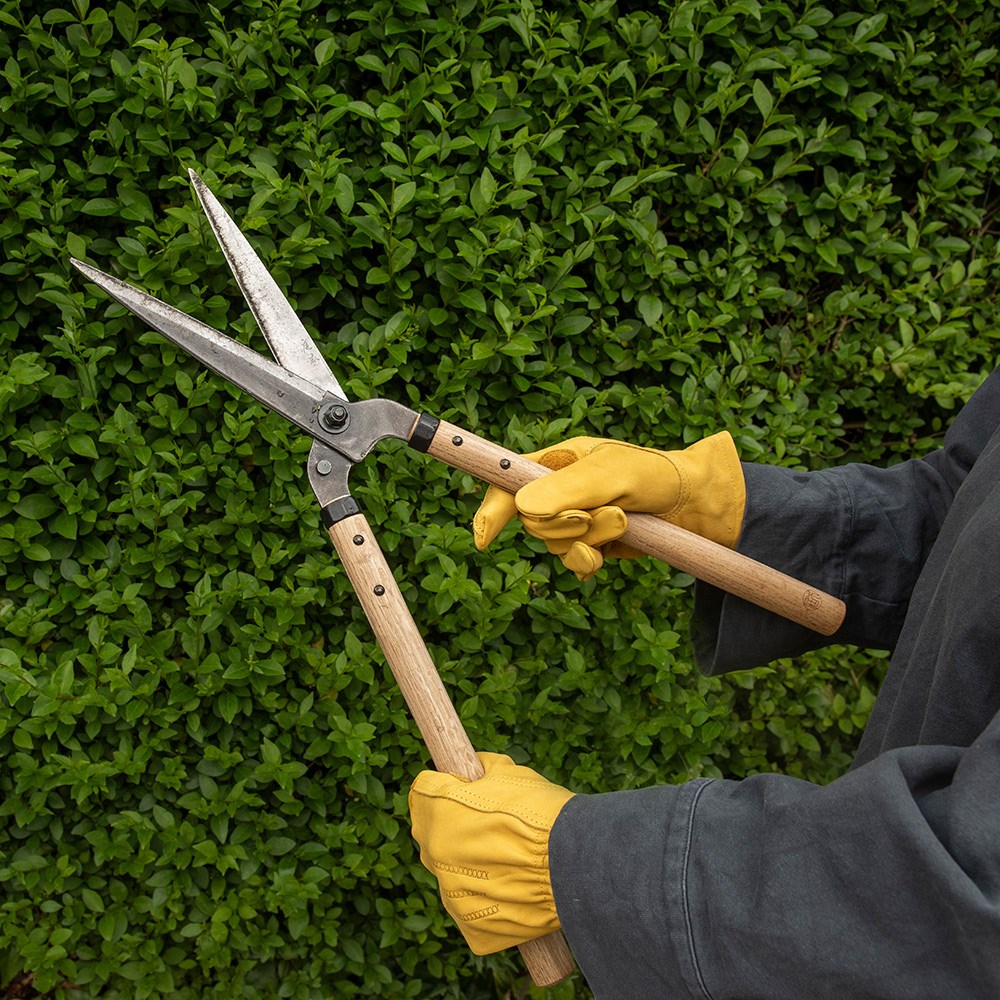 Niwaki garden shears