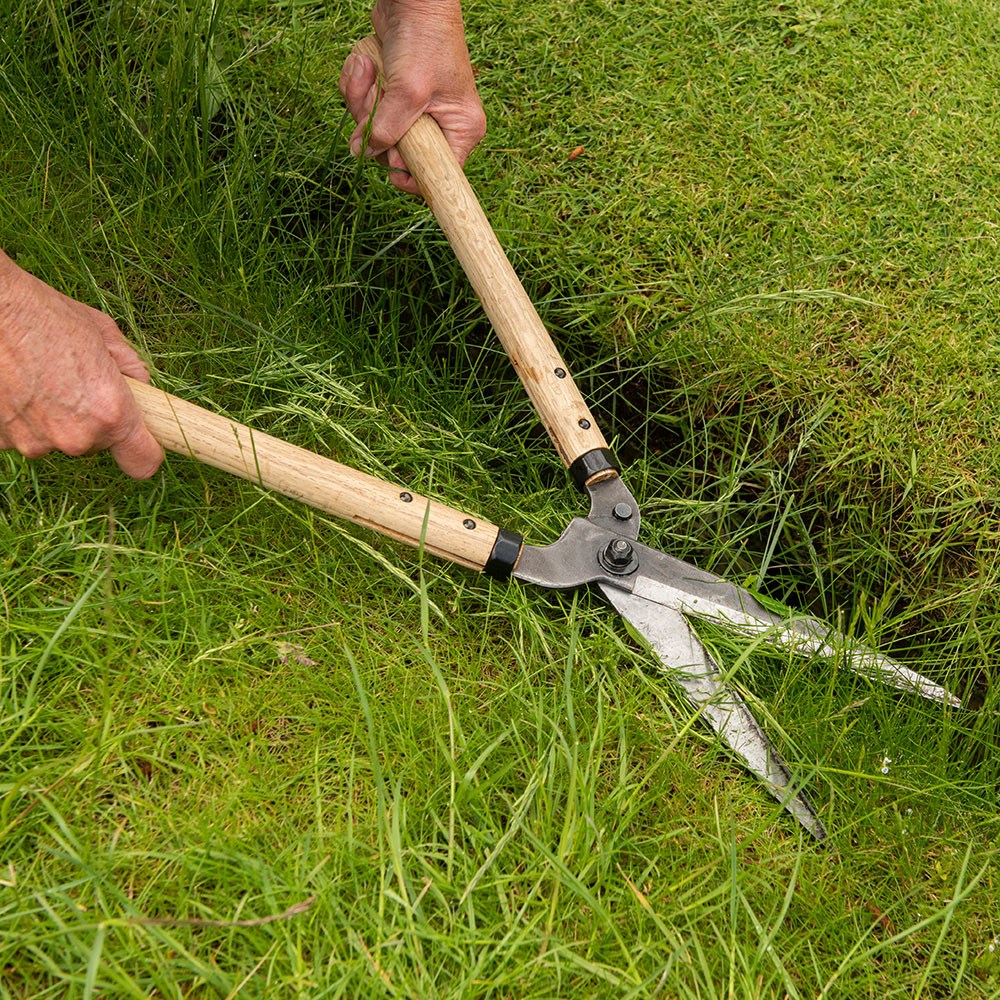 Niwaki garden shears