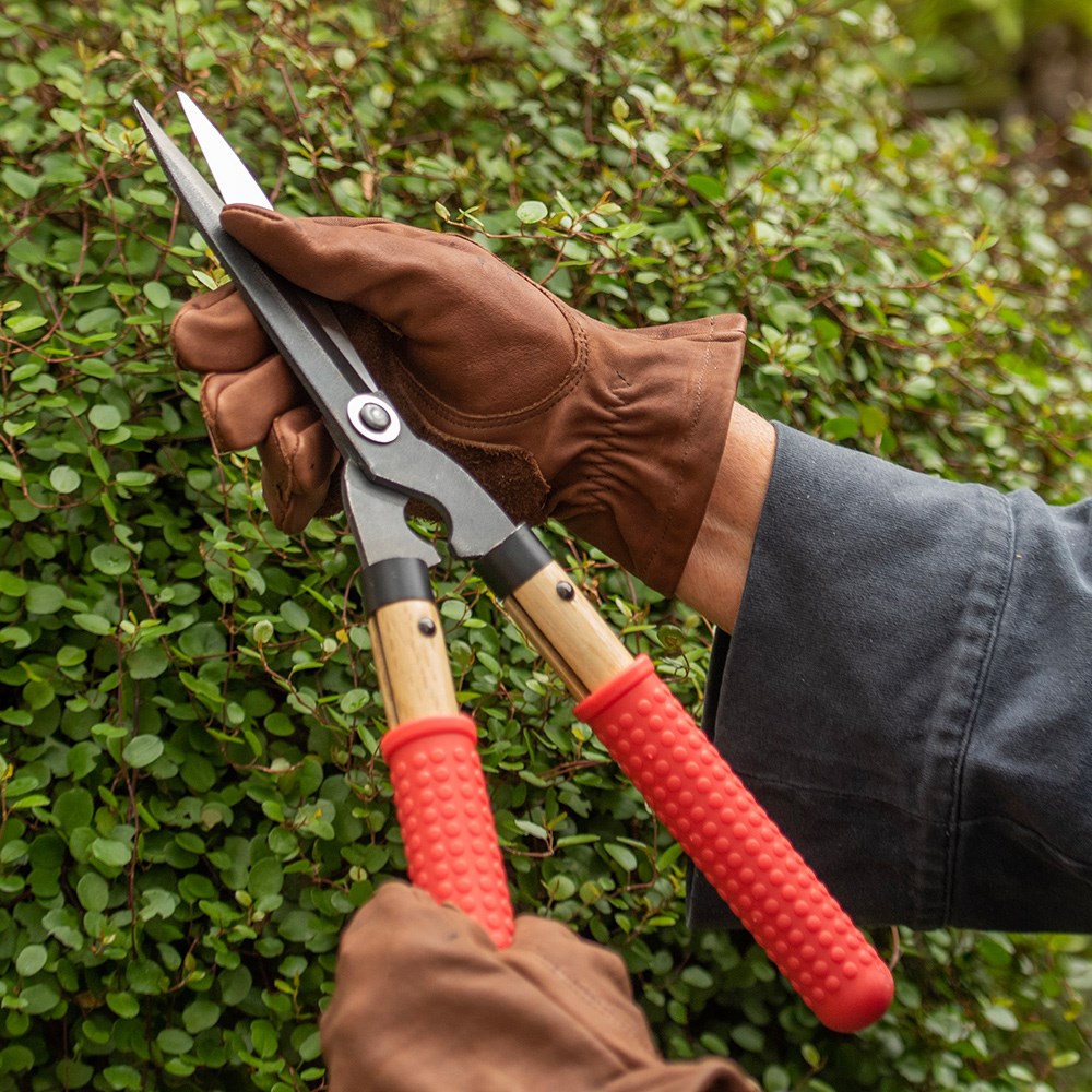 Niwaki mini shears