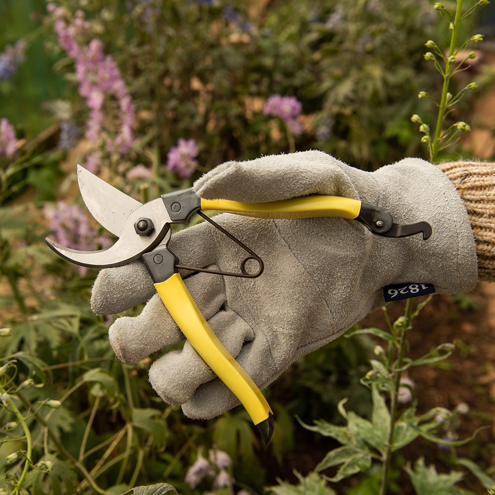 Niwaki Mainichi secateurs