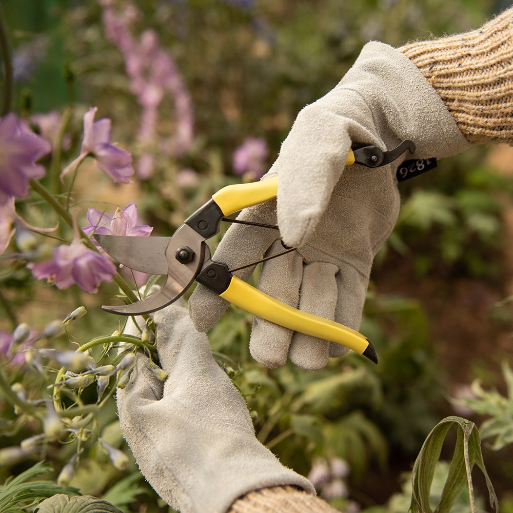 Niwaki Mainichi secateurs